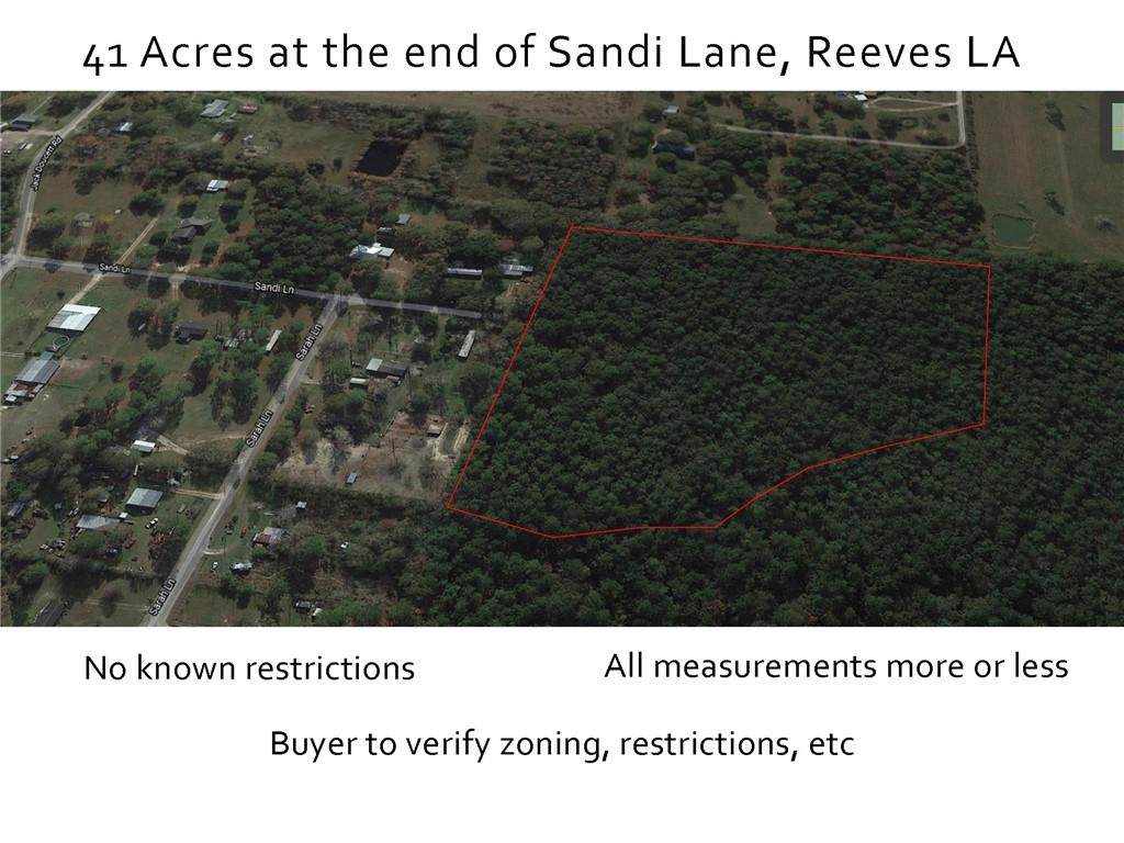 Sandi Lane - Photo 1