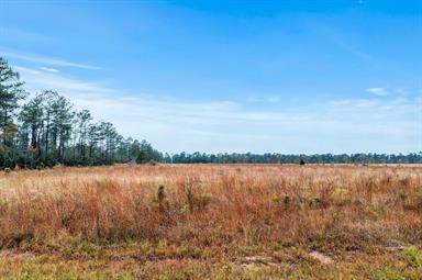 Alcock Lot 9 Road - Photo 1