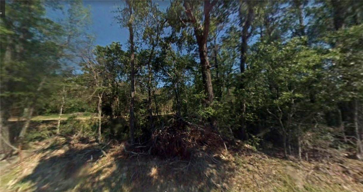 Azalie Drive - Photo 1