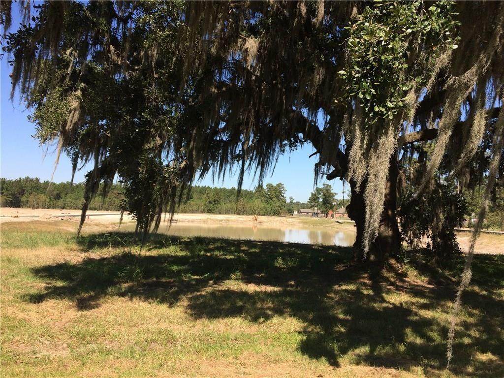 Poplar Grove Street - Photo 1