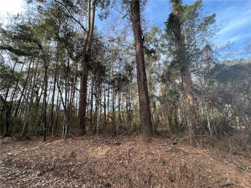 29197 Murry Road - Photo 1