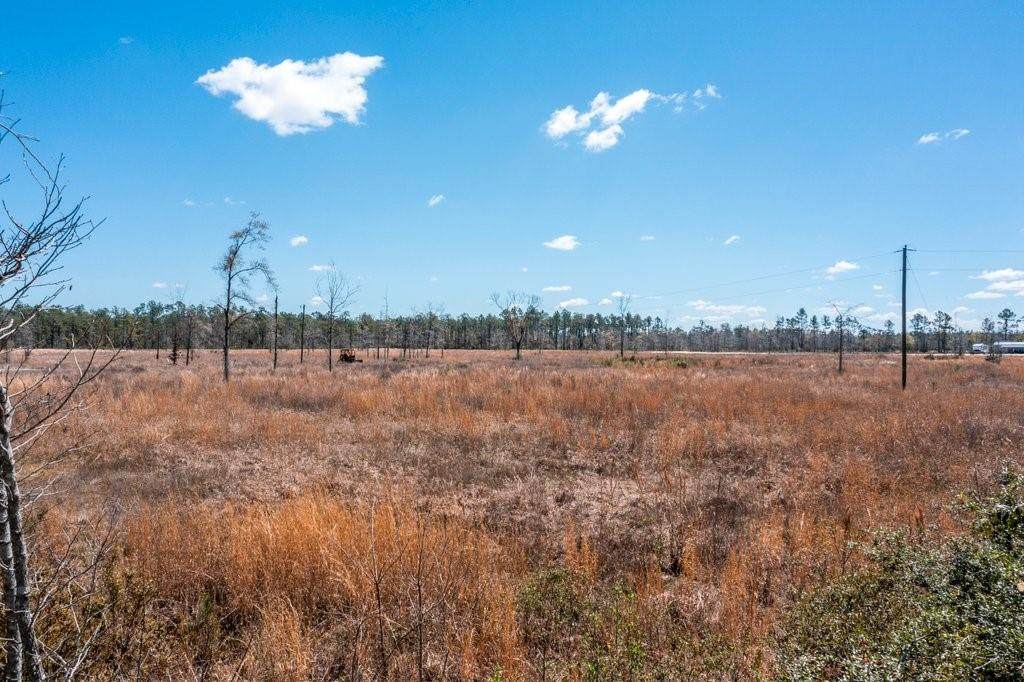 Edgerly Dequincy Road - Photo 1