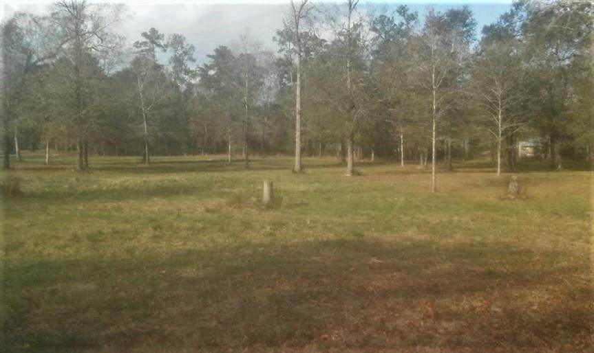 Mockingbird Lane - Photo 1