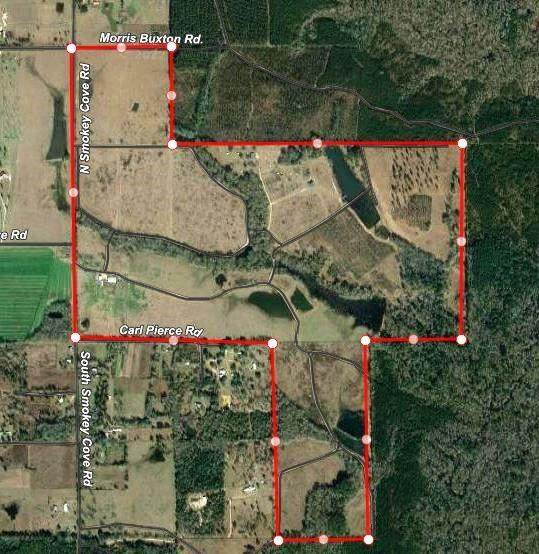 2274 Smokey Cove Road - Photo 1