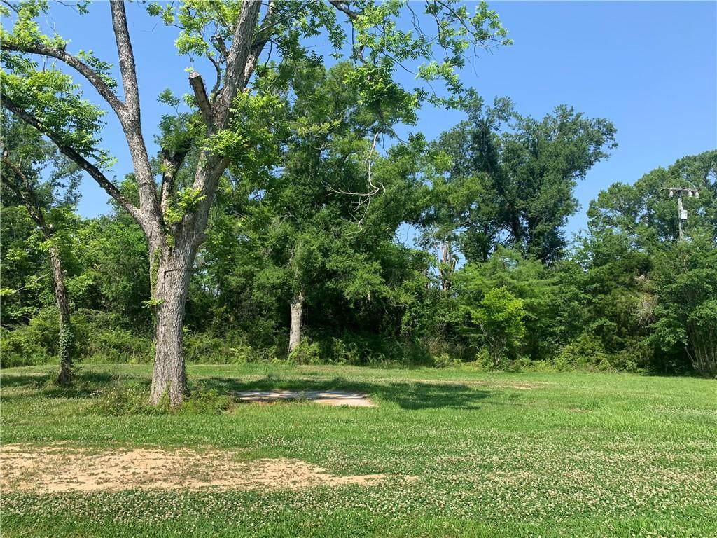 501 Frazier Street - Photo 1