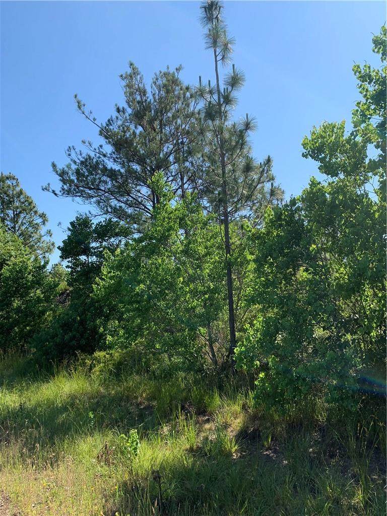 Hwy 113 Highway - Photo 1