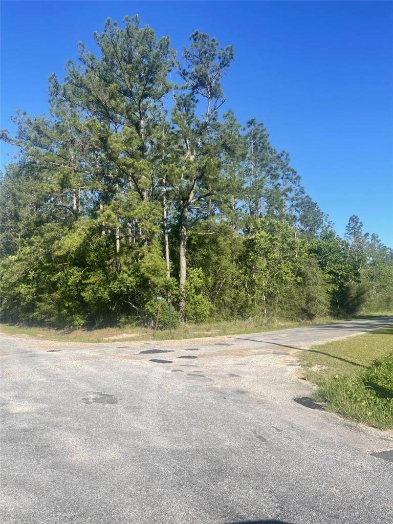 Jack Doucett Road - Photo 1