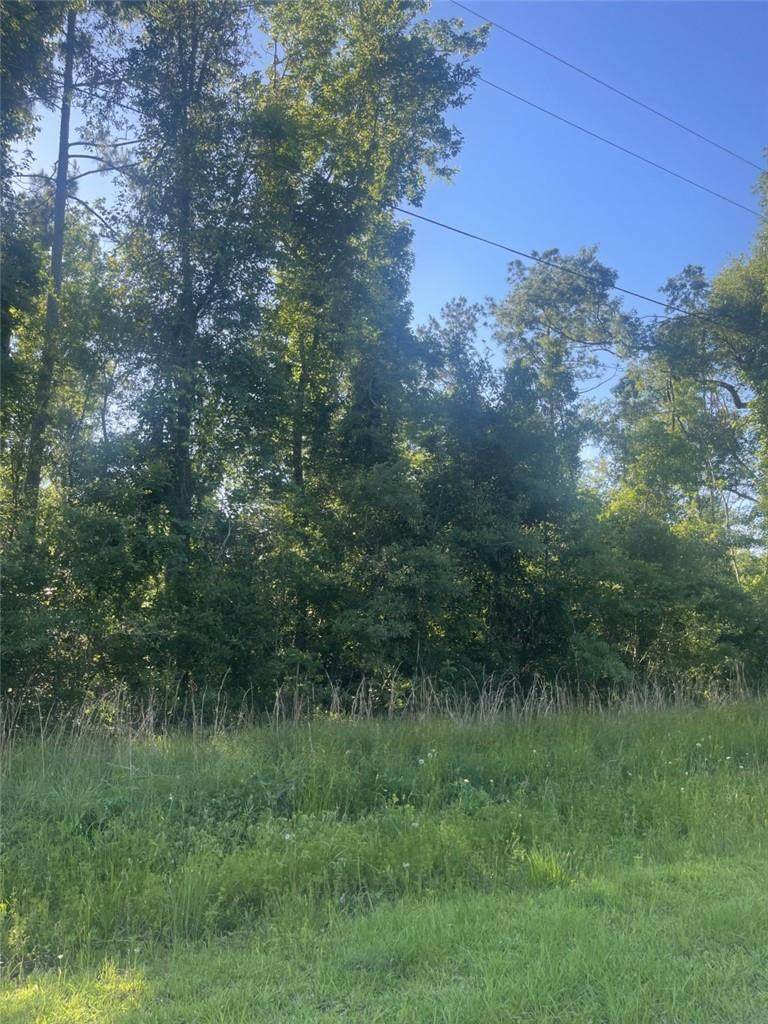 Ruth Drive - Photo 1