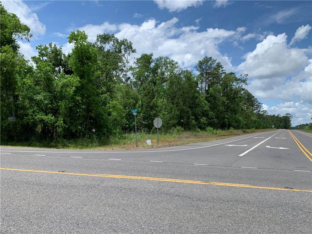 Pine Forest Road - Photo 1