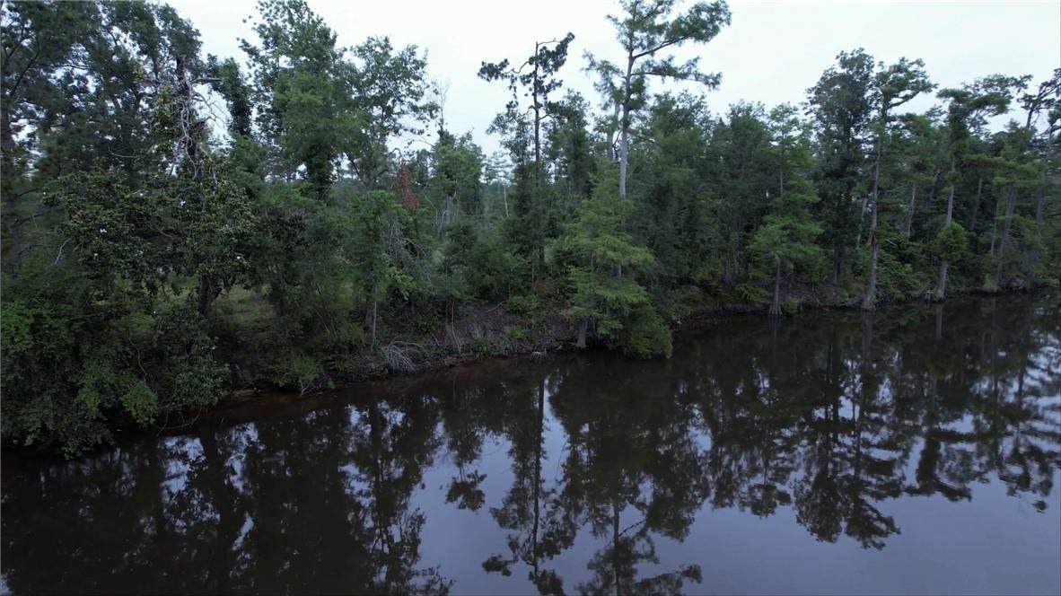 Cypress Lake Drive - Photo 1