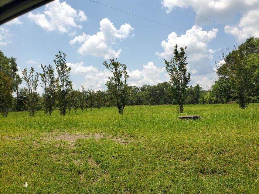 Hwy 190 Highway - Photo 1