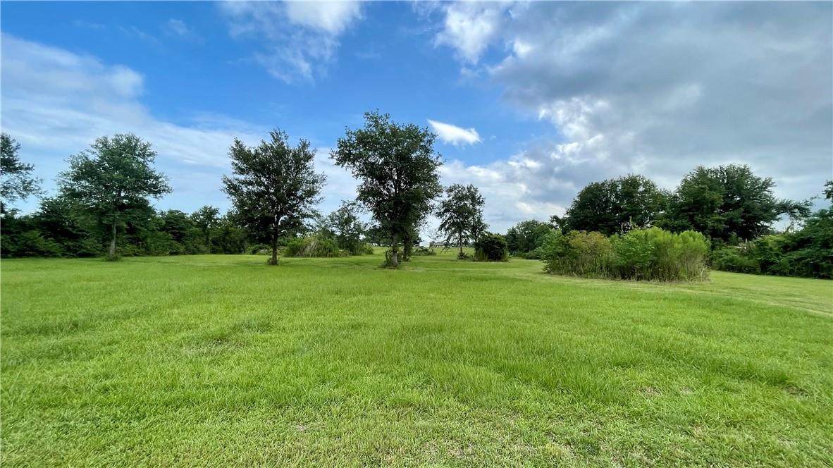 Dave Dugas Road - Photo 1