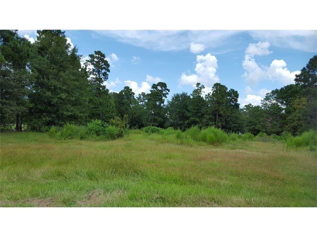 3306 Pine Street - Photo 1