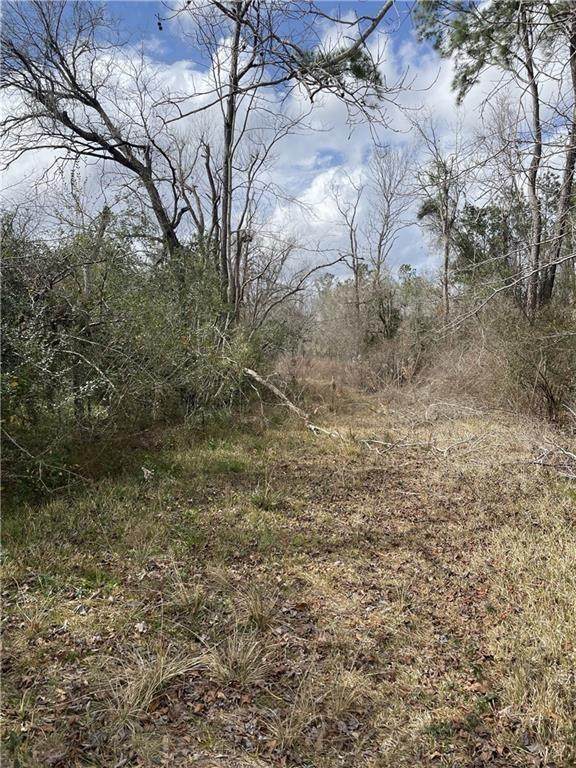 1779 Mitchell Road - Photo 1