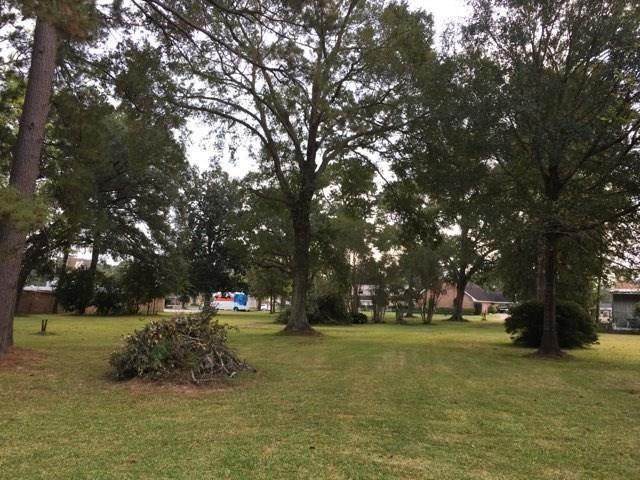 Sam Houston Jones Parkway - Photo 1