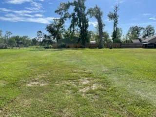 1444 Beech Street - Photo 1