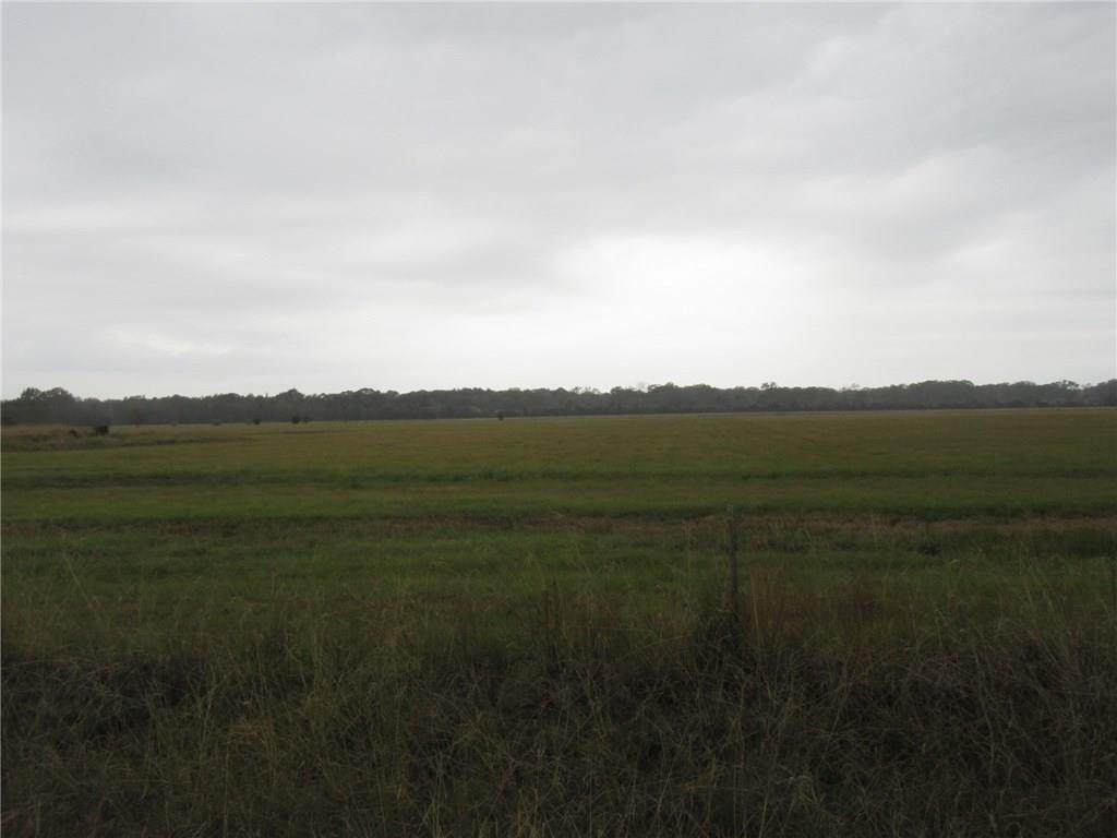 Birdnest Road - Photo 1