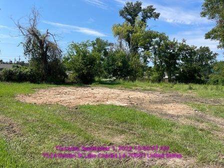 1524 Belden Street - Photo 1