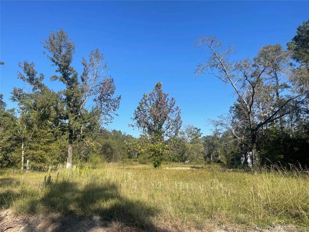 109 Brahman Drive - Photo 1