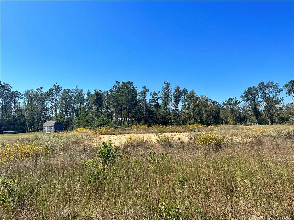 Mcfatter Road - Photo 1