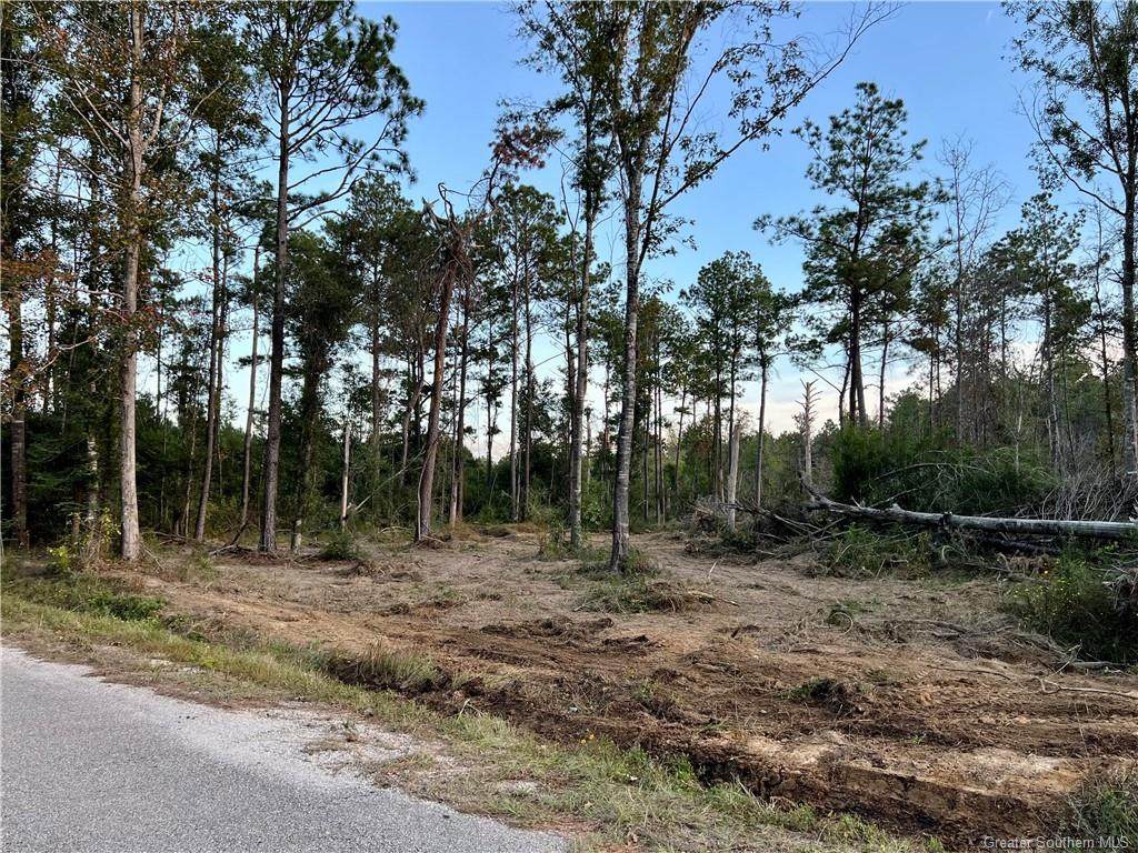 Gimnick Rd. Road - Photo 1