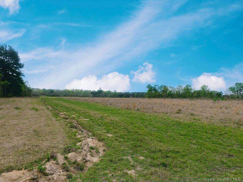 171 Highway - Photo 1