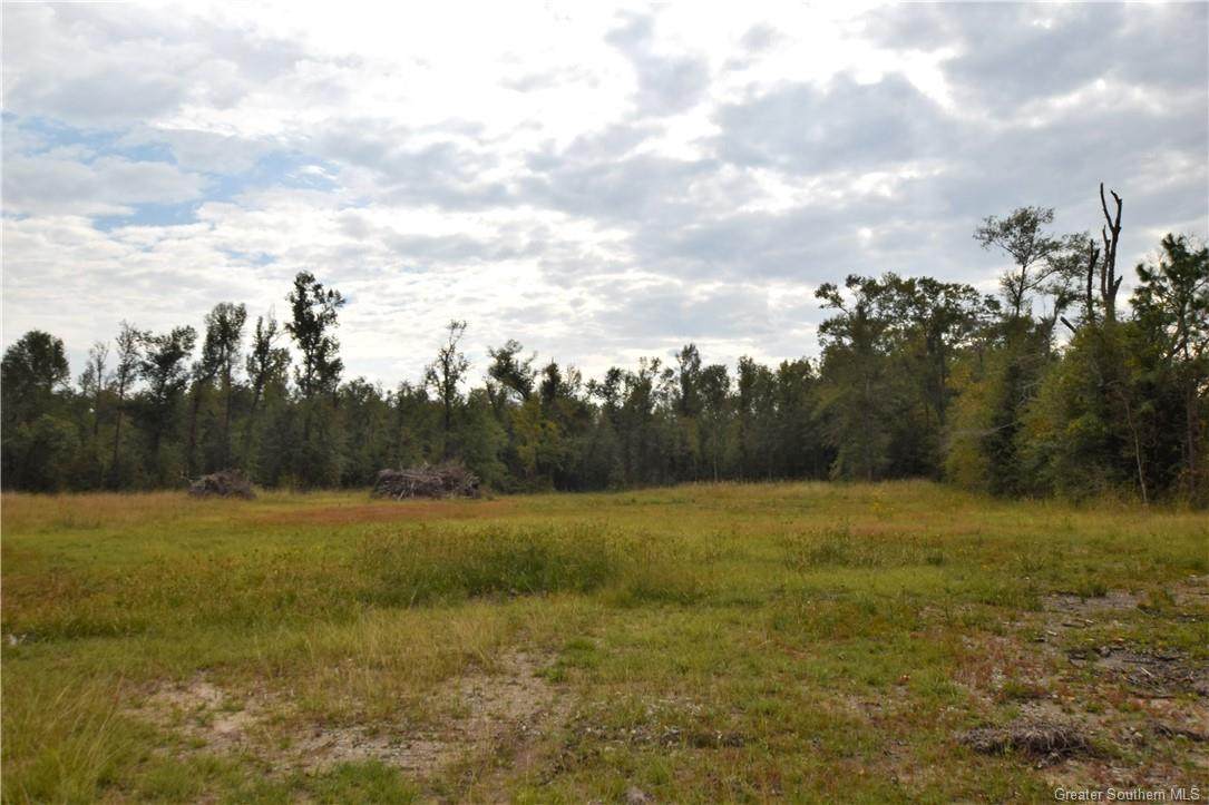 1133 Dunn Ferry Road - Photo 1