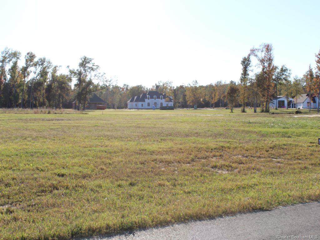 Tbd Coffey Farms Road - Photo 1