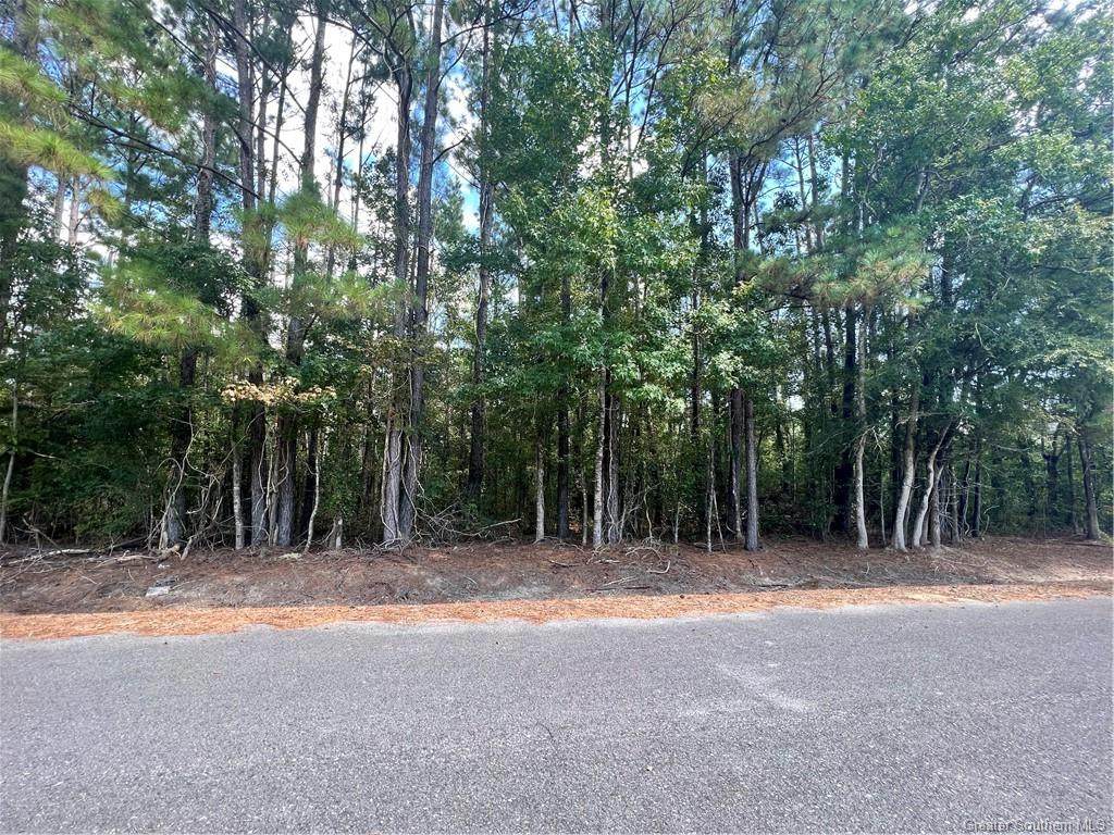 103 Hereford Drive - Photo 1