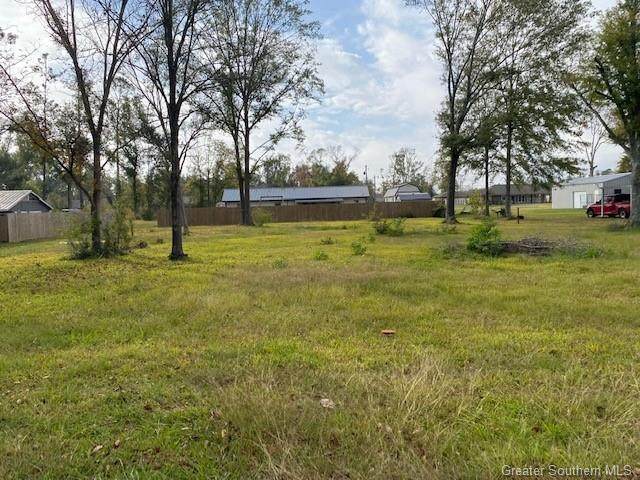 Hudson Drive - Photo 1