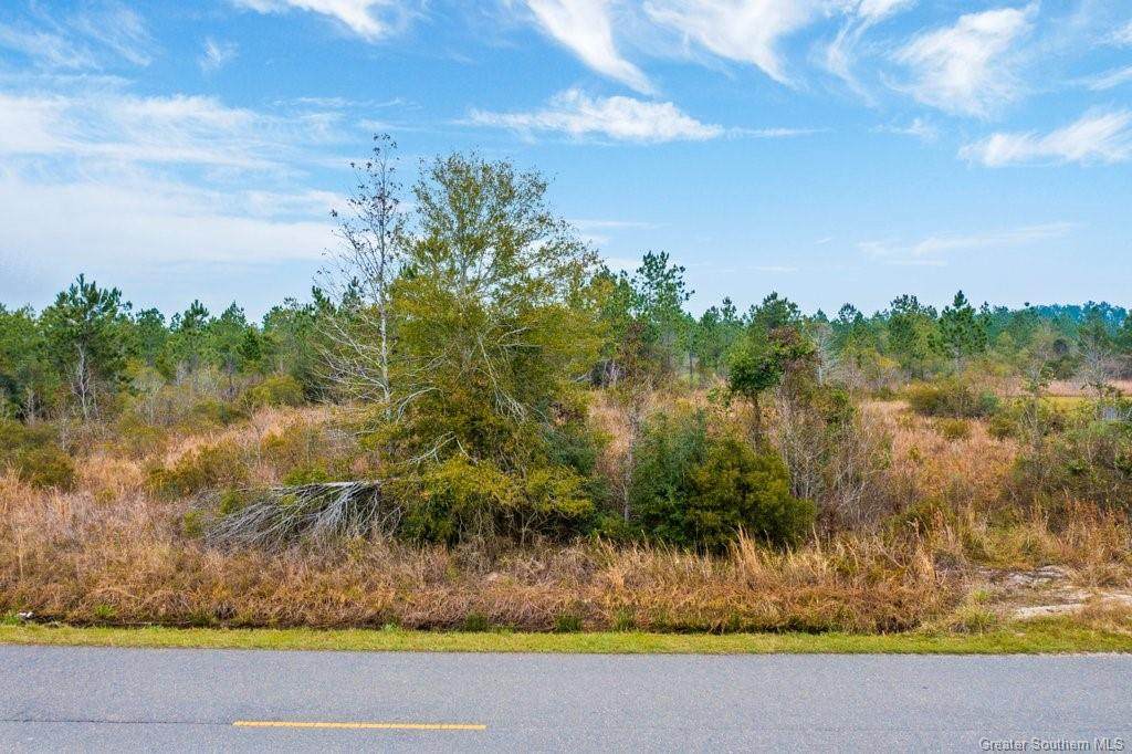 Newt Hodges Road - Photo 1