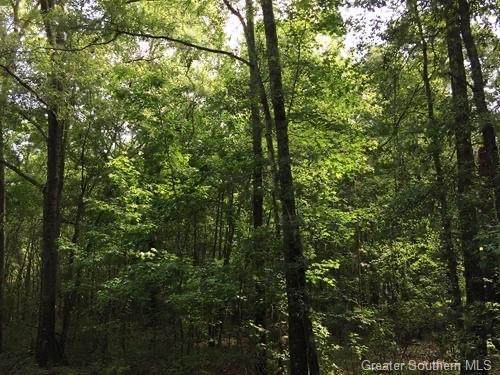 Camp Pearl Loop - Photo 1