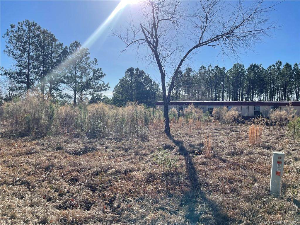 160 Elmer Moses Road - Photo 1