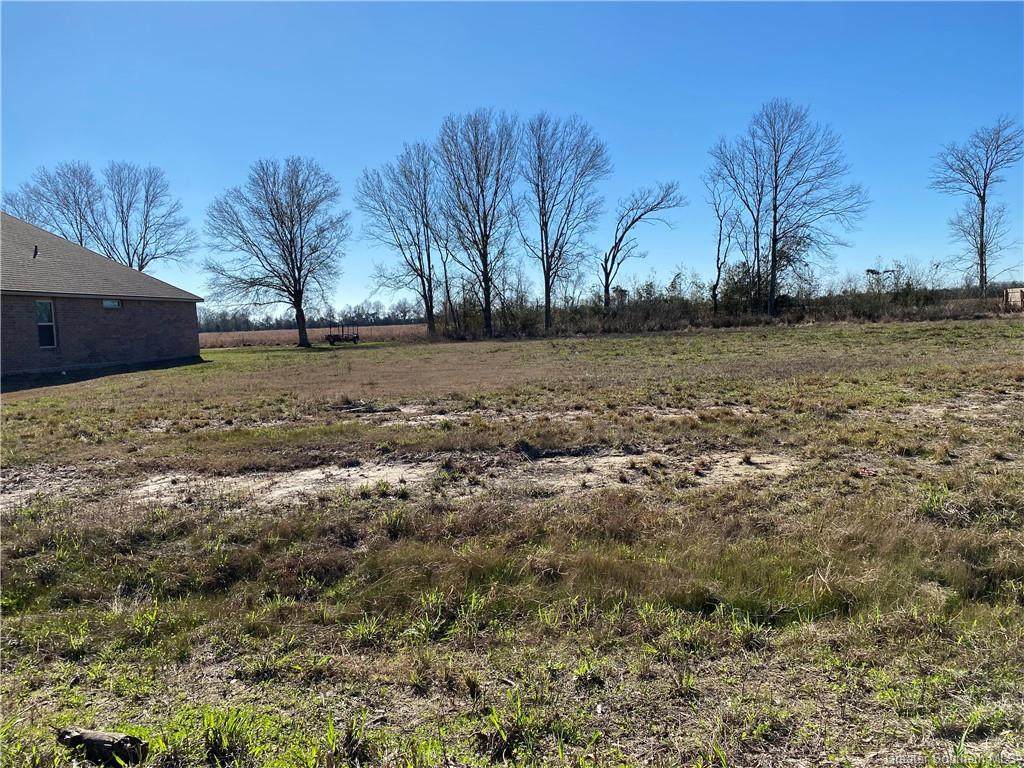 8111 Kinslee Lane - Photo 1