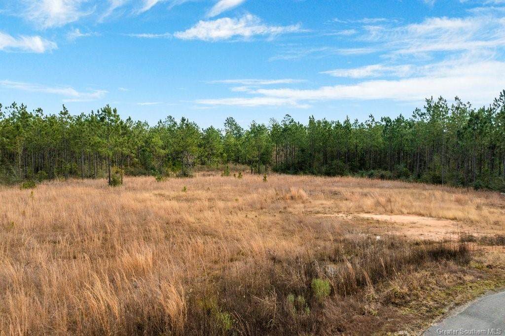 0 Plantation Trace Drive - Photo 1