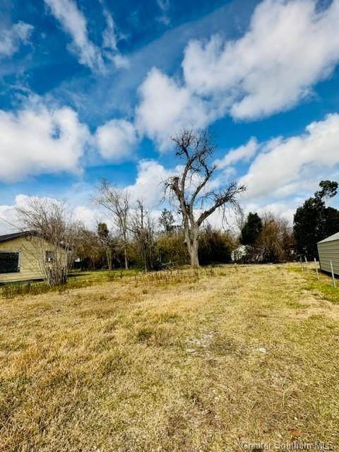 713 Falls Street - Photo 1