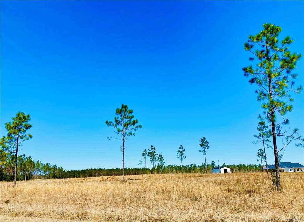 0 Camp Edgewood Road - Photo 1