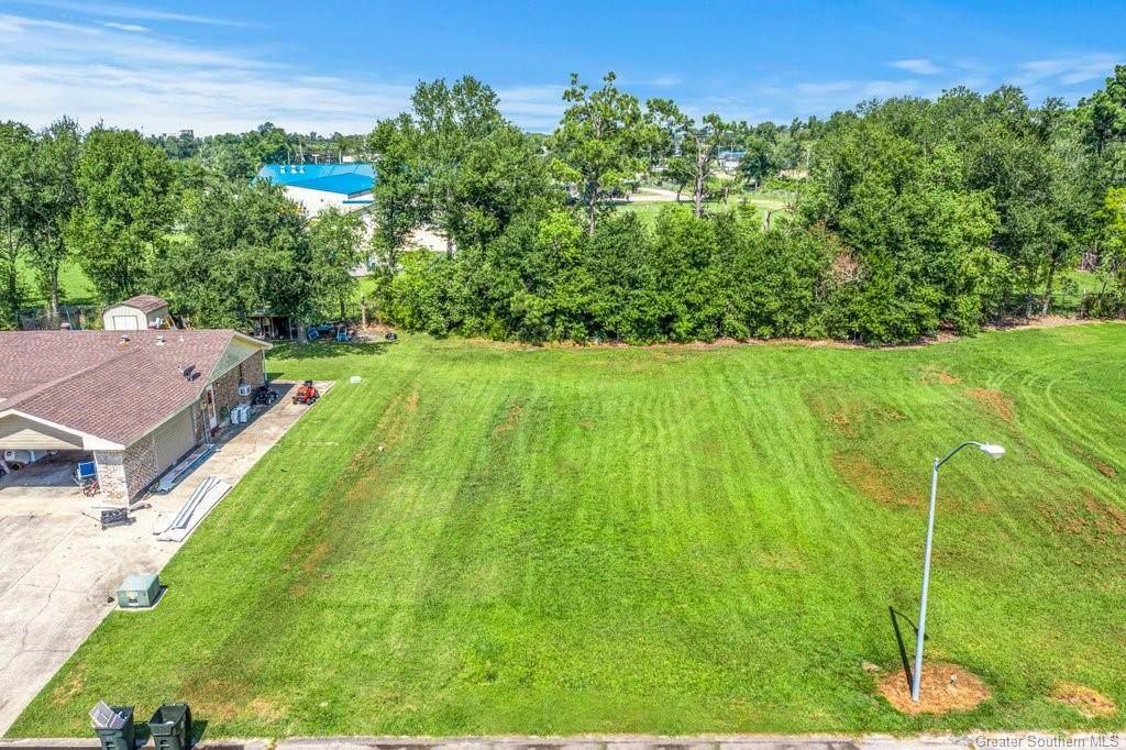 0 Briar Trail Drive - Photo 1