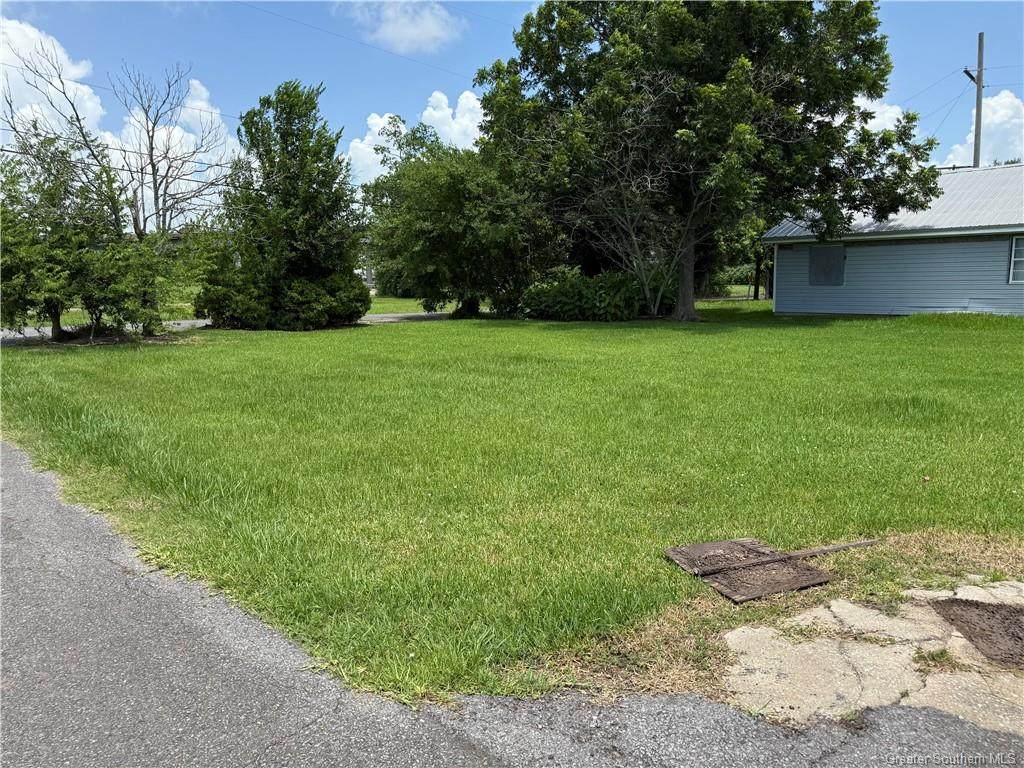 113 Albert Street - Photo 1