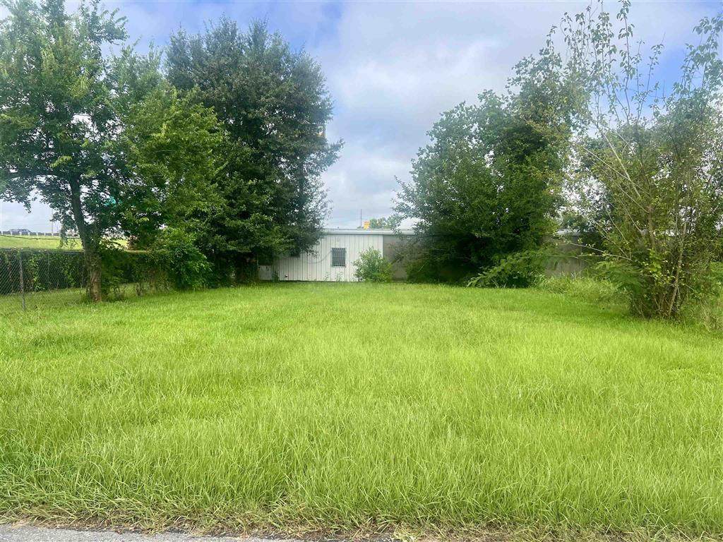206 Blake St Street - Photo 1