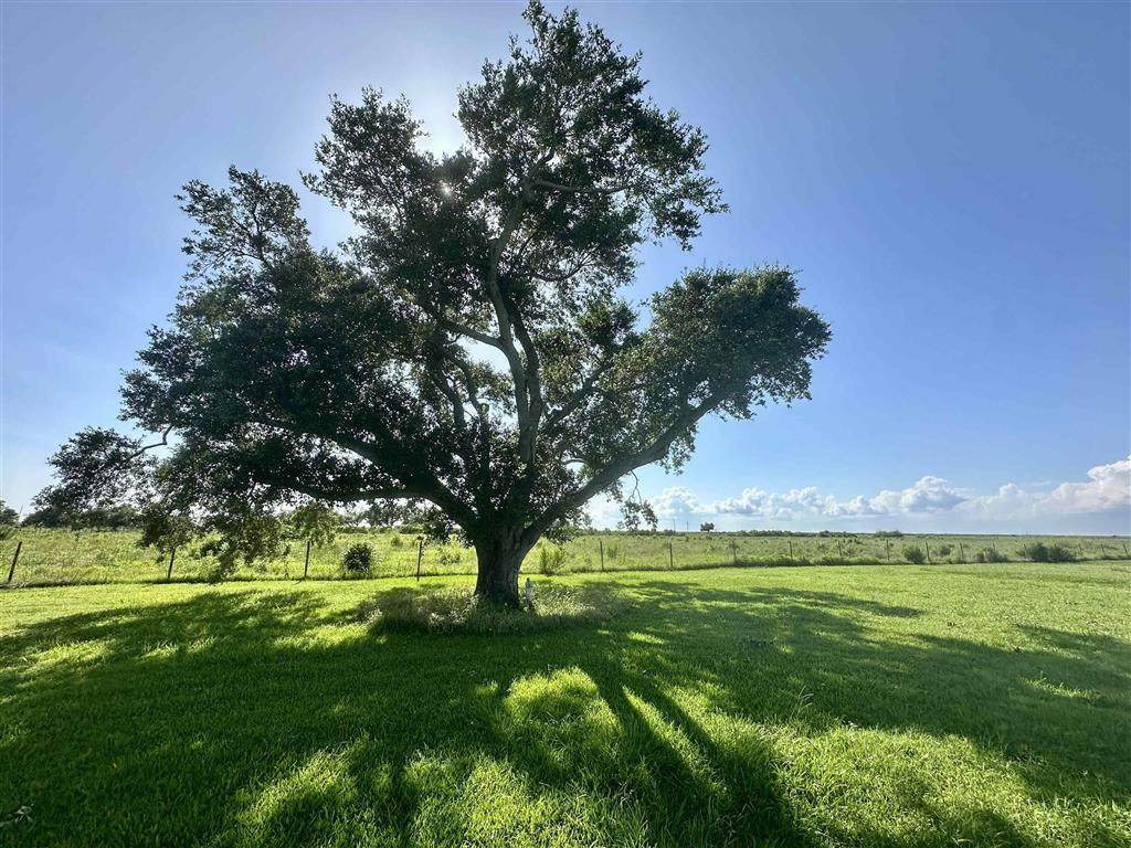 163 Mallard Ln Lane - Photo 1