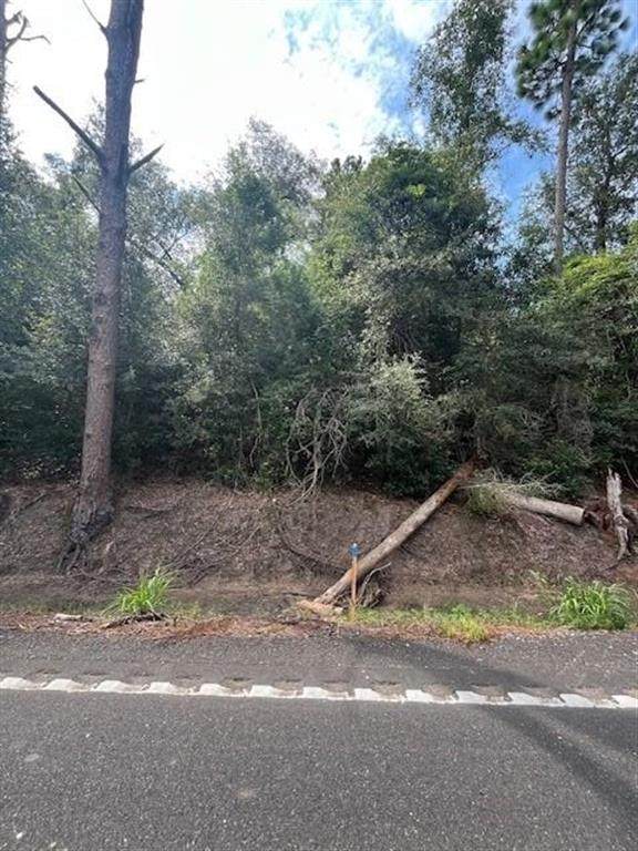 0 Mark Lebleu Road - Photo 1