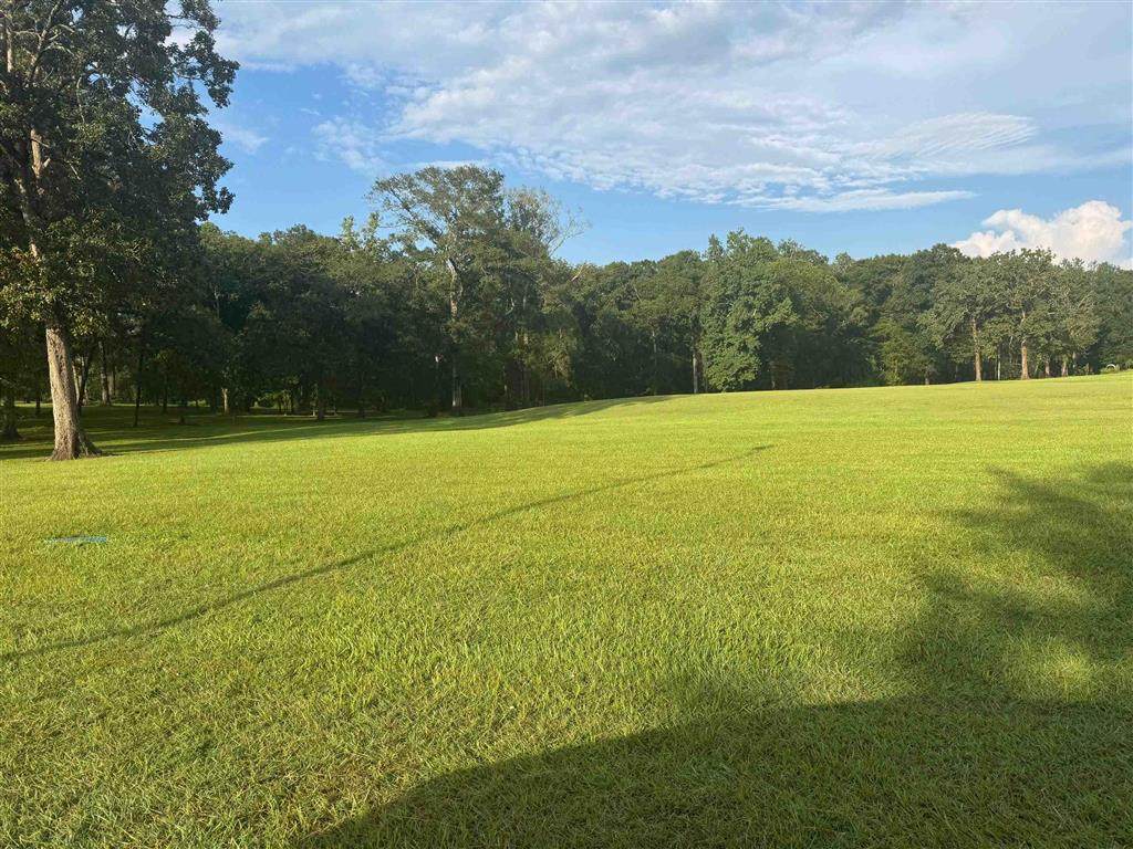 TBD River View Drive - Photo 1