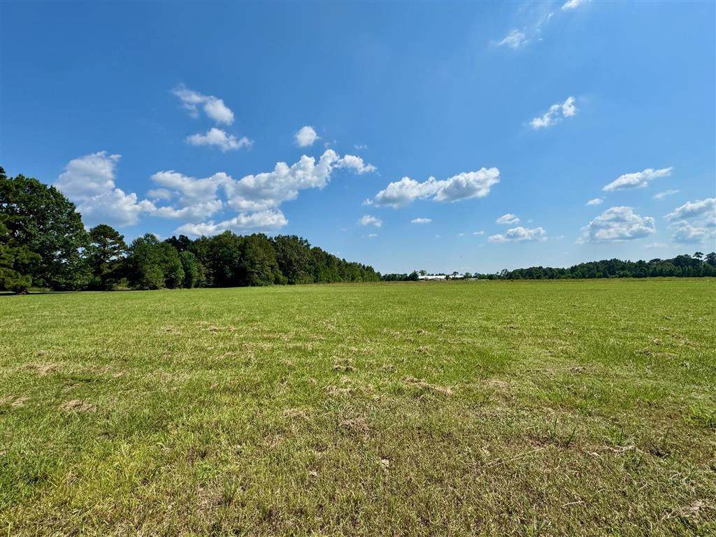 TBD 9th Avenue - Photo 1