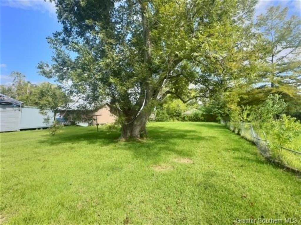 3201 Reidway Street - Photo 1