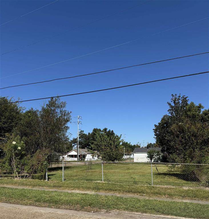 1001 Fall Street - Photo 1