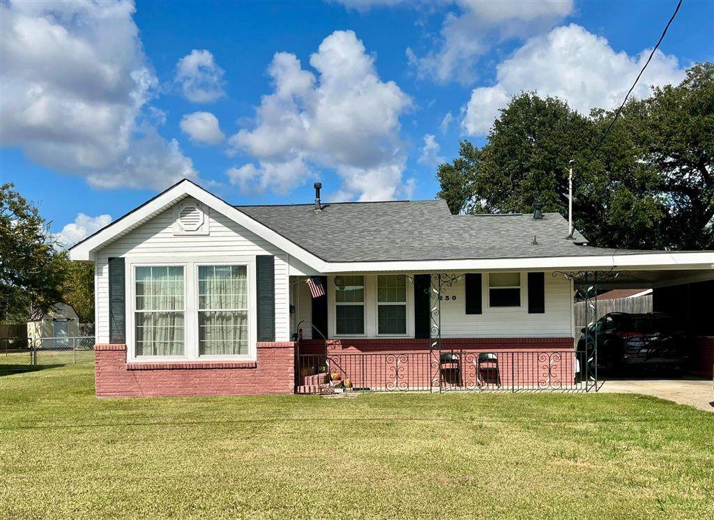 230 Lucille St Street - Photo 1