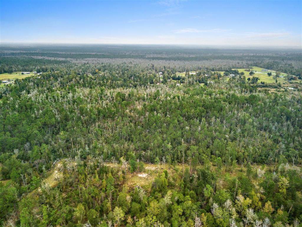 0 Woods Road - Photo 1