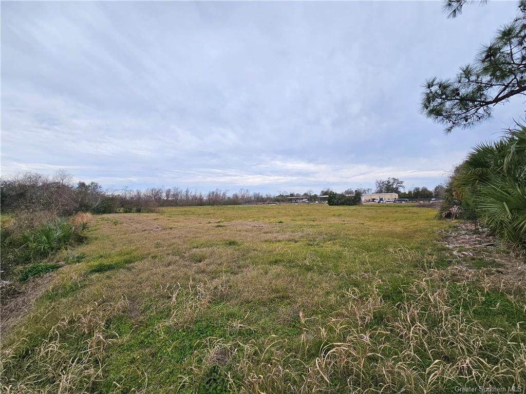 0 Martin Luther King Highway - Photo 1