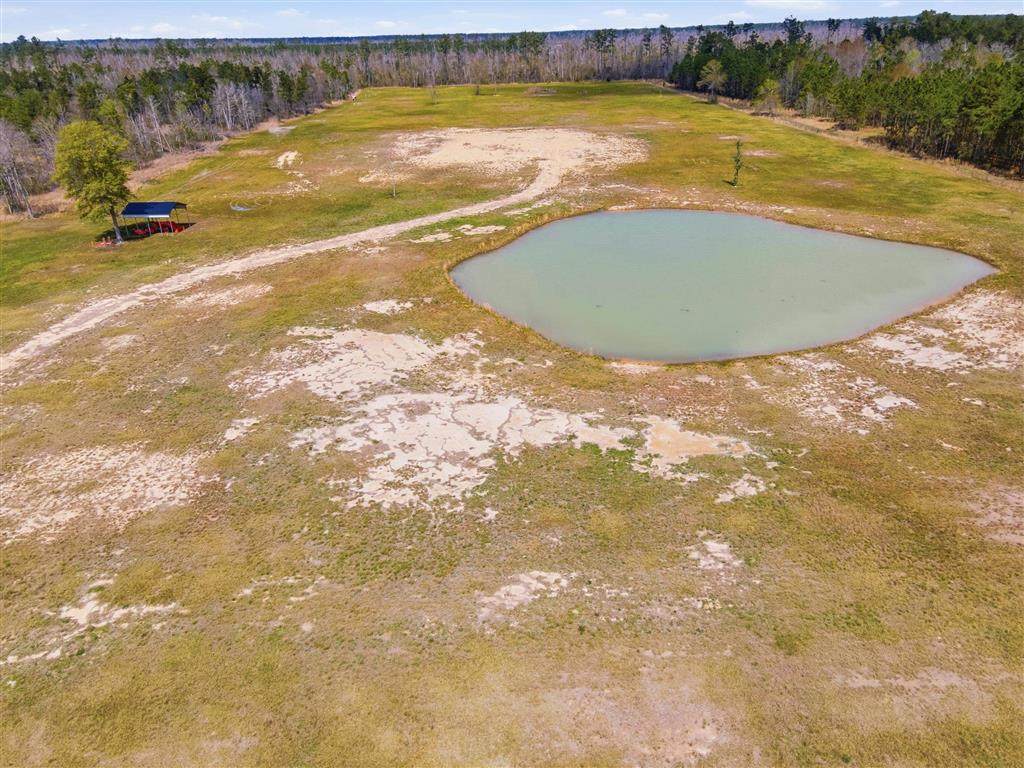 479 Newt Hodges Road - Photo 1